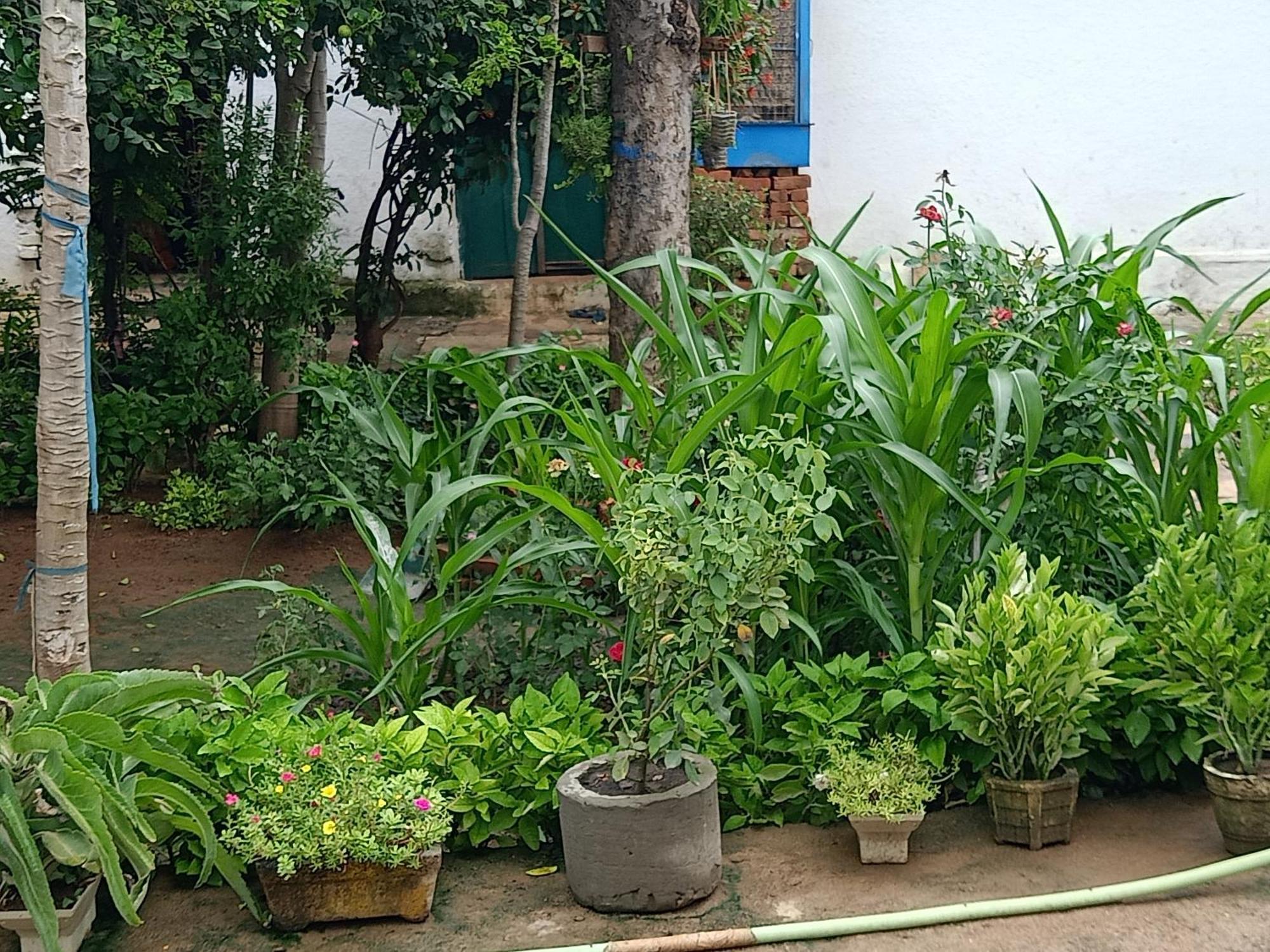 Khajuraho Rancho 아파트 외부 사진
