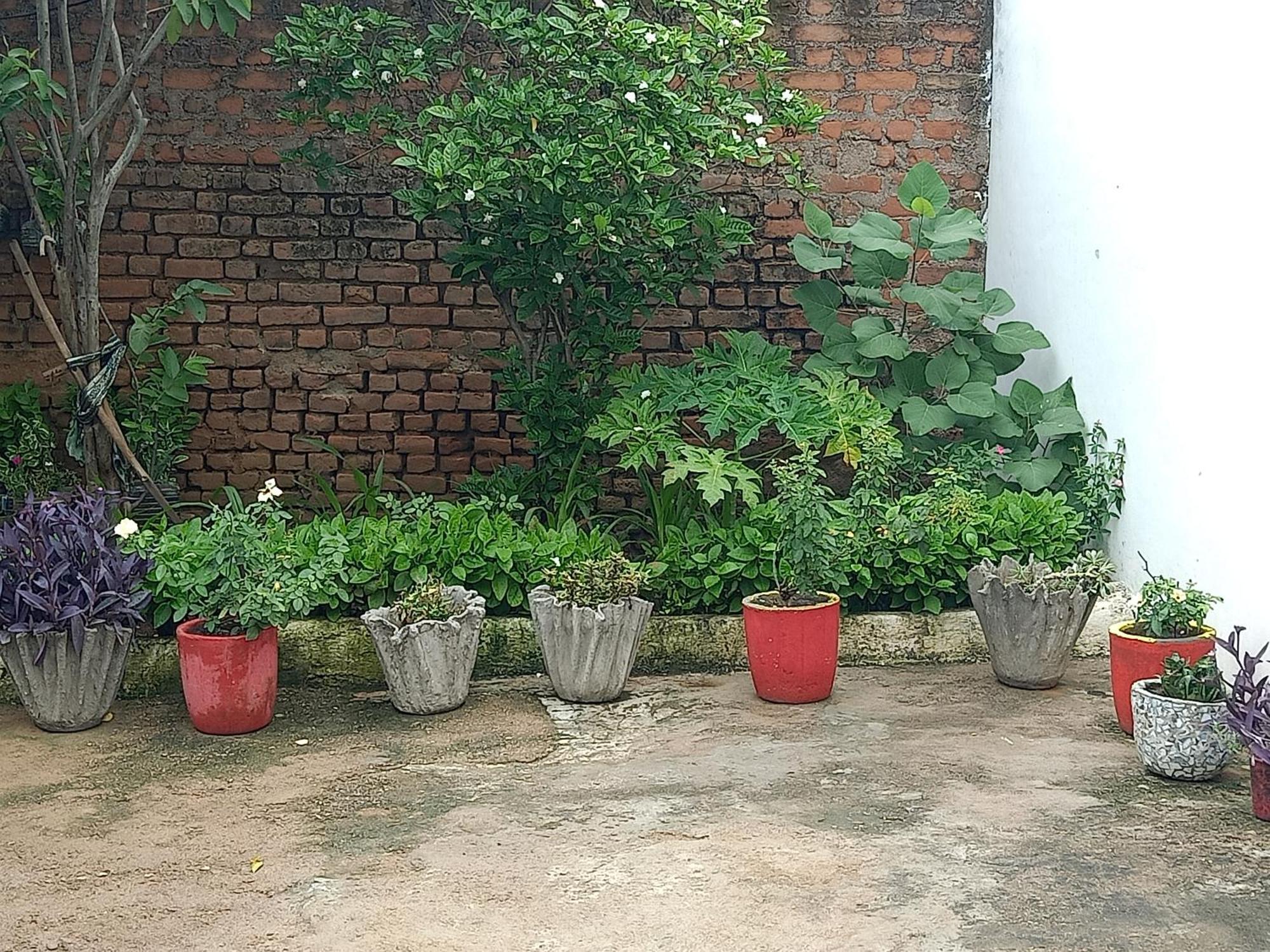 Khajuraho Rancho 아파트 외부 사진