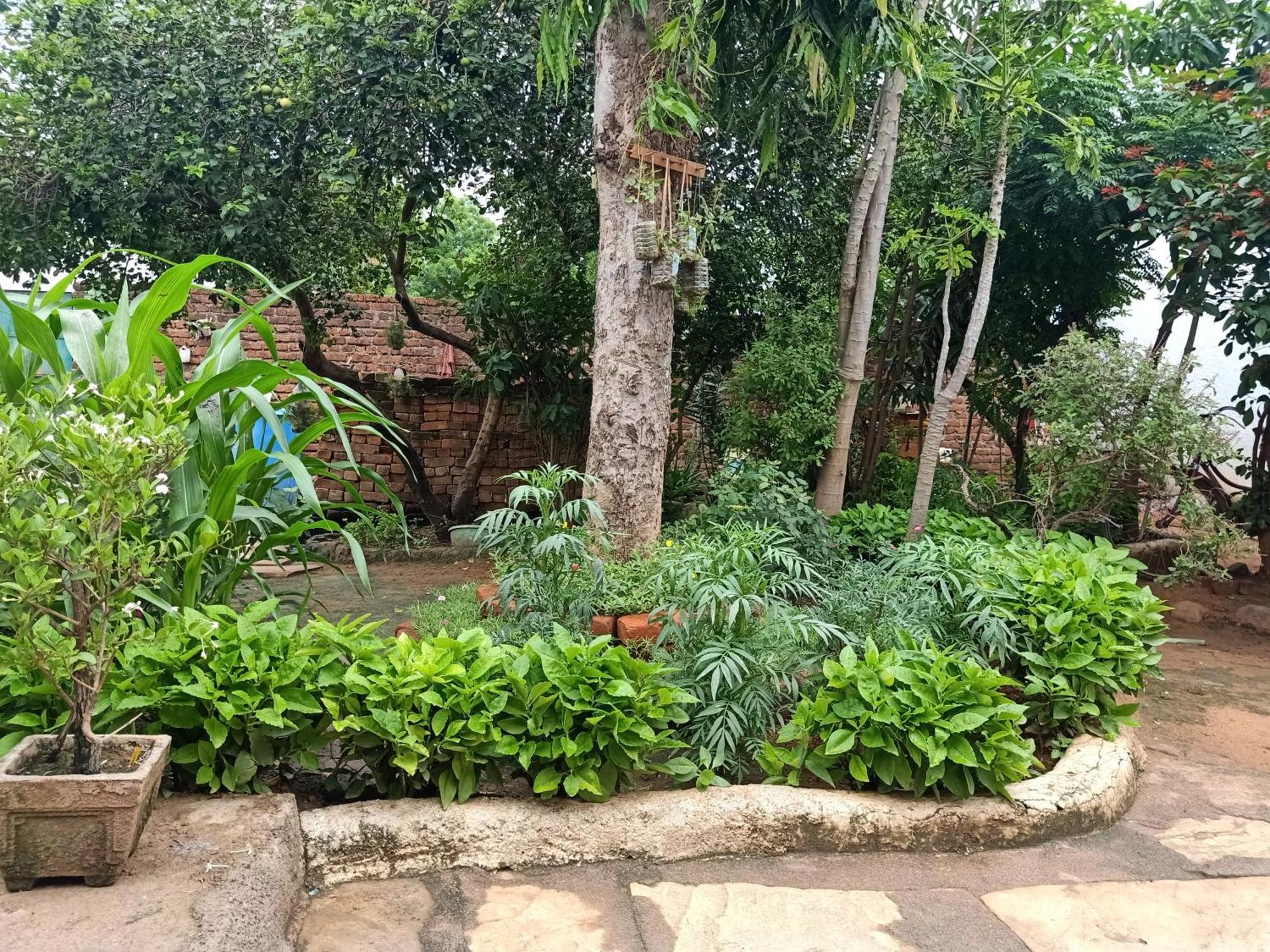 Khajuraho Rancho 아파트 외부 사진
