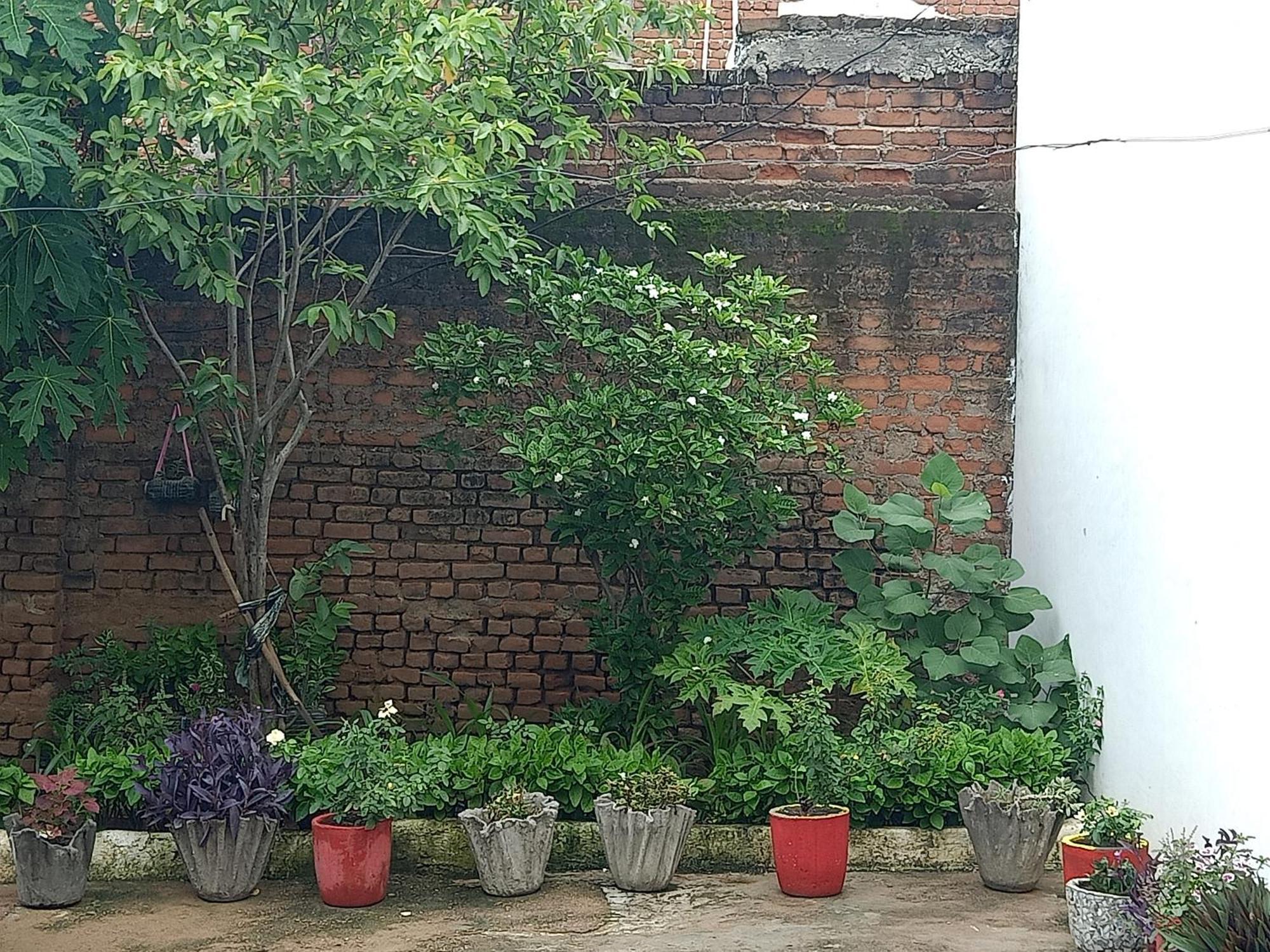 Khajuraho Rancho 아파트 외부 사진