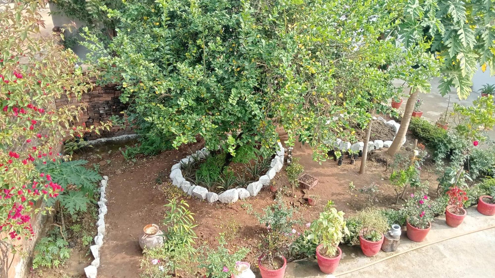 Khajuraho Rancho 아파트 외부 사진