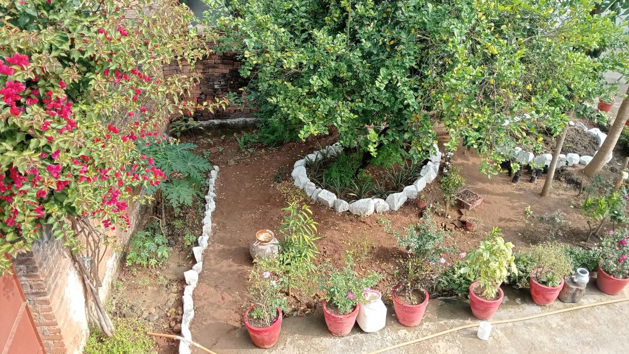 Khajuraho Rancho 아파트 외부 사진